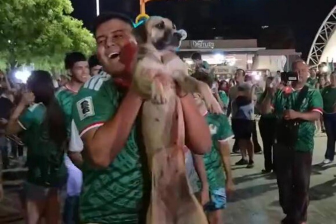 Dispărută de o lună, o cățelușă a fost găsită petrecând cu fanii de la Cupa Mondială. Stăpâna a recunoscut-o într-un live