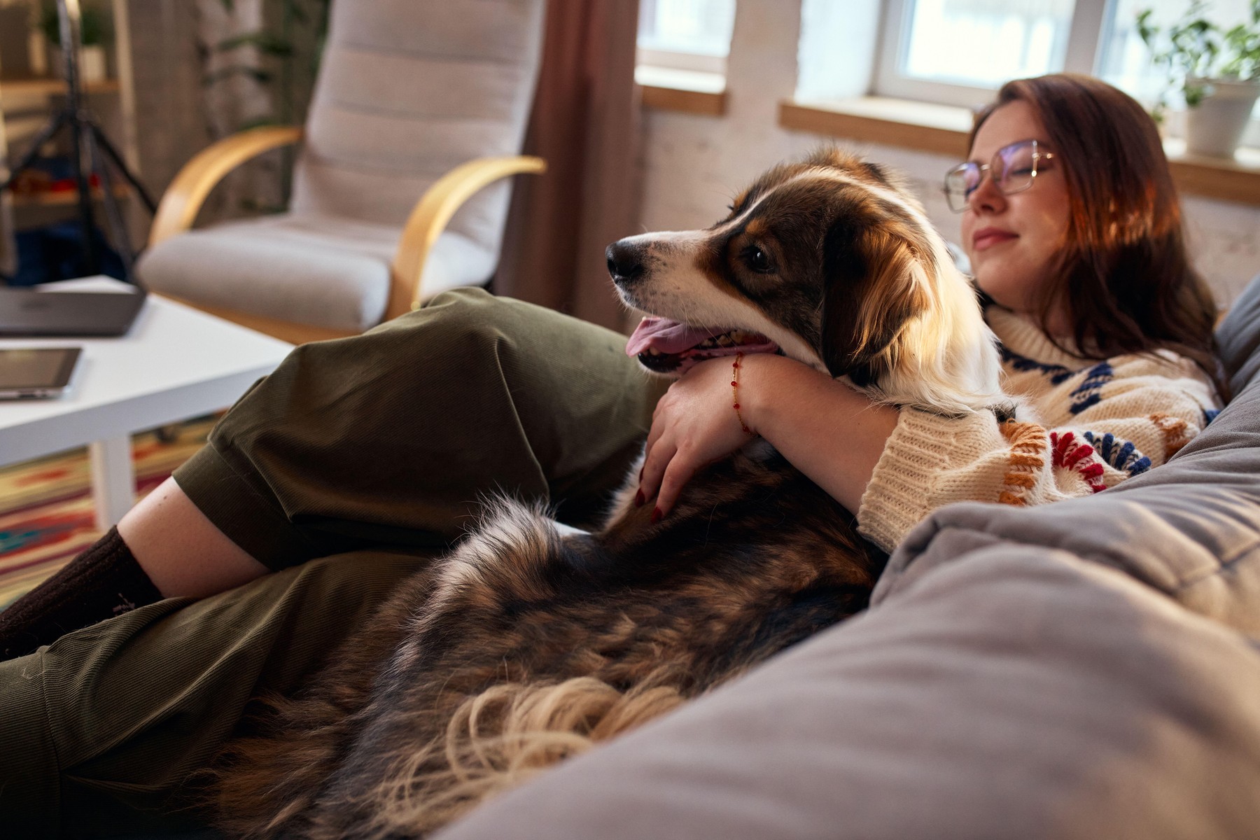 Ești genul de stăpân care face reguli clare sau cedezi imediat la ochii mari ai animalului tău? Vezi ce spune zodia ta despre relația cu pisica sau câinele de acasă. Sursa foto: Volodymyr Melnyk / Alamy / Profimedia