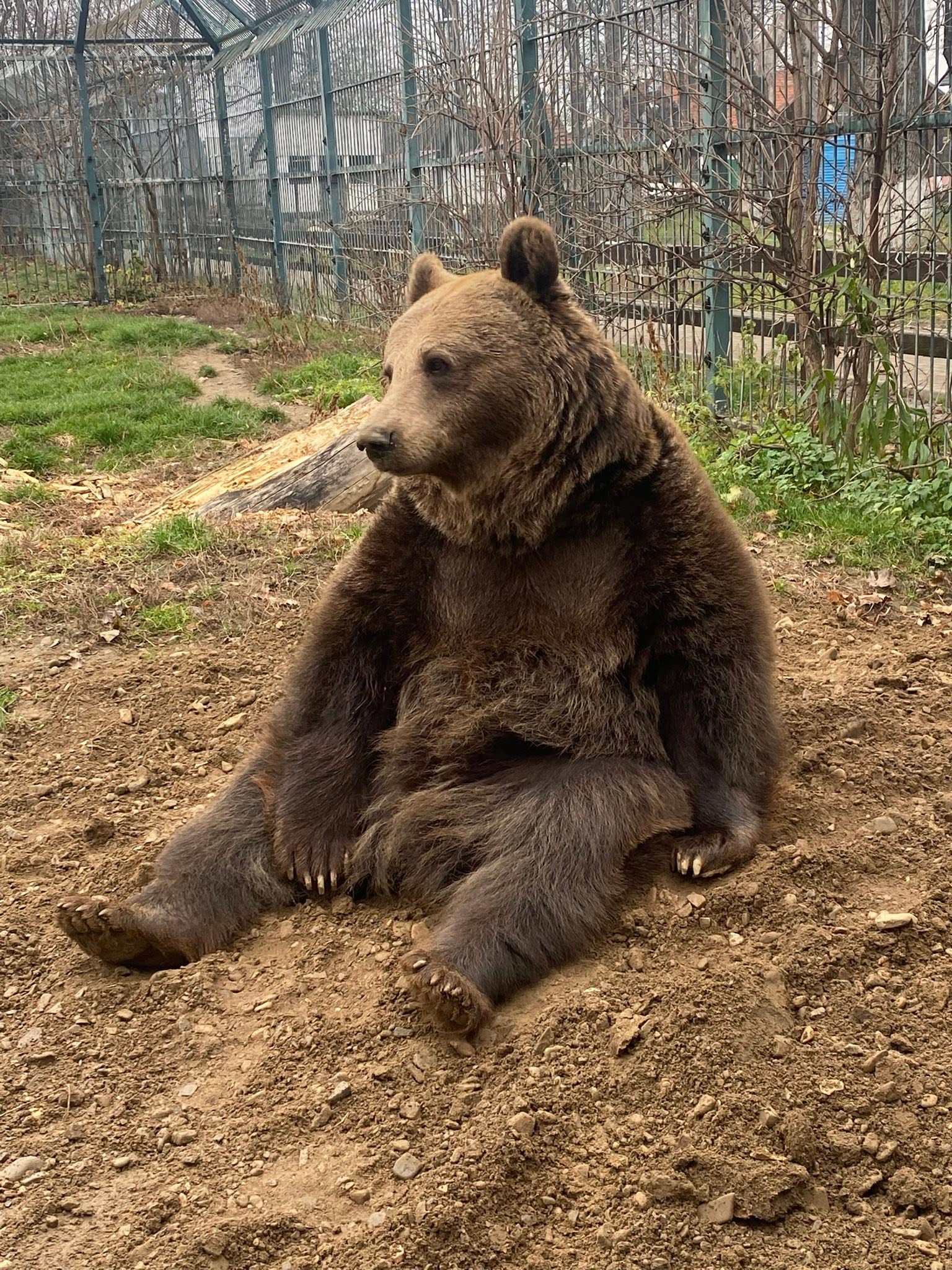 Interacțiunea copiilor cu natura și animalele contribuie la dezvoltarea empatiei. Foto: Facebook Grădina Zoologică Rădăuți