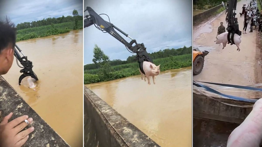 Peste 100 de animale au dispărut după inundațiile provocate de taifun în China. Sursa foto: capturi video X
