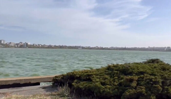 Fenomen îngrijorător în Constanța! Mai mulți pești au fost găsiți morți în Lacul Tăbăcărie