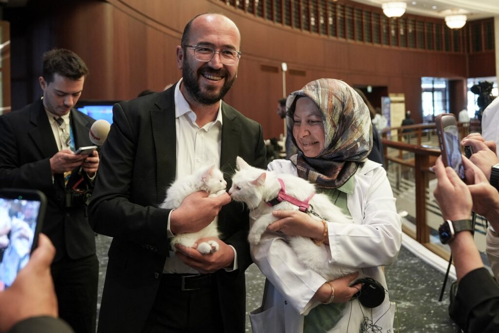Pisicile Angora au furat toate privirile la summitul NATO. Foto: Profimedia