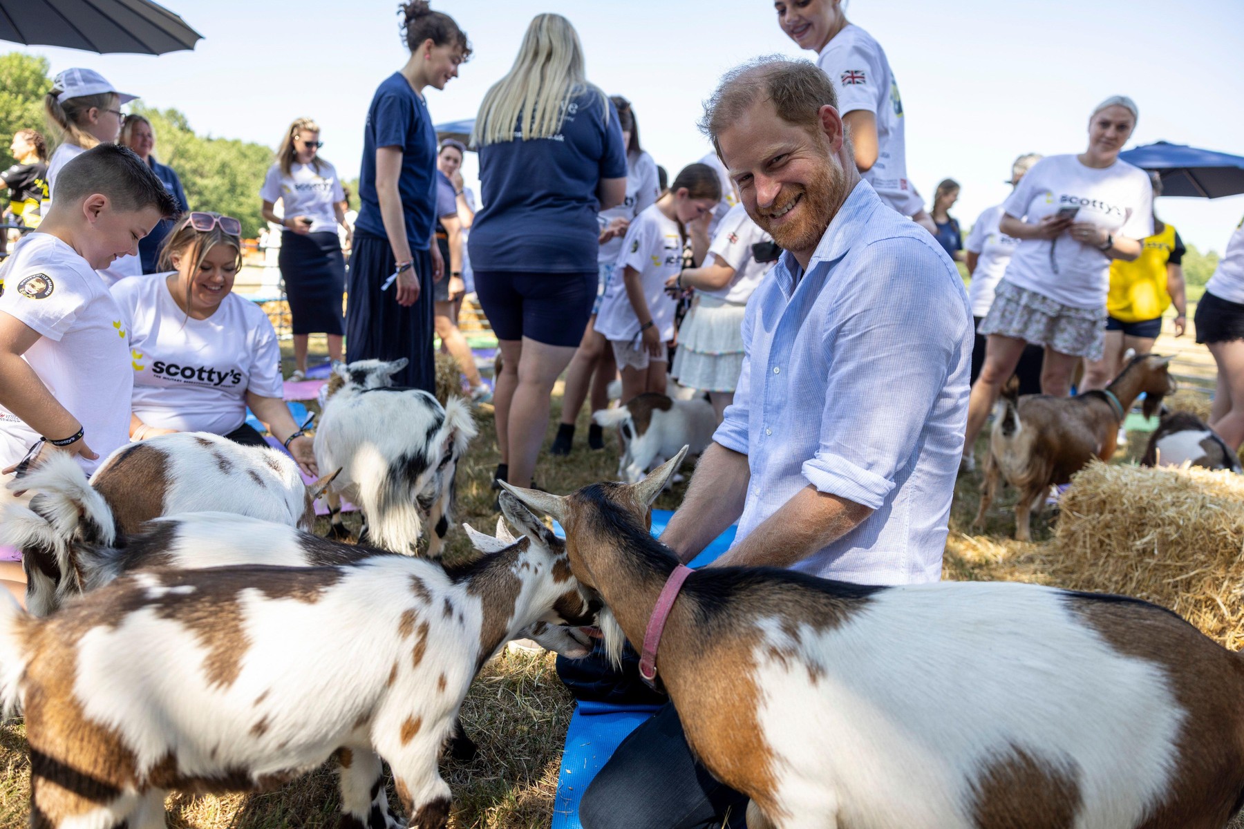 O capră i-a sărit în poală prințului Harry în timpul unei ședințe de „goat yoga”. Foto: Profimedia