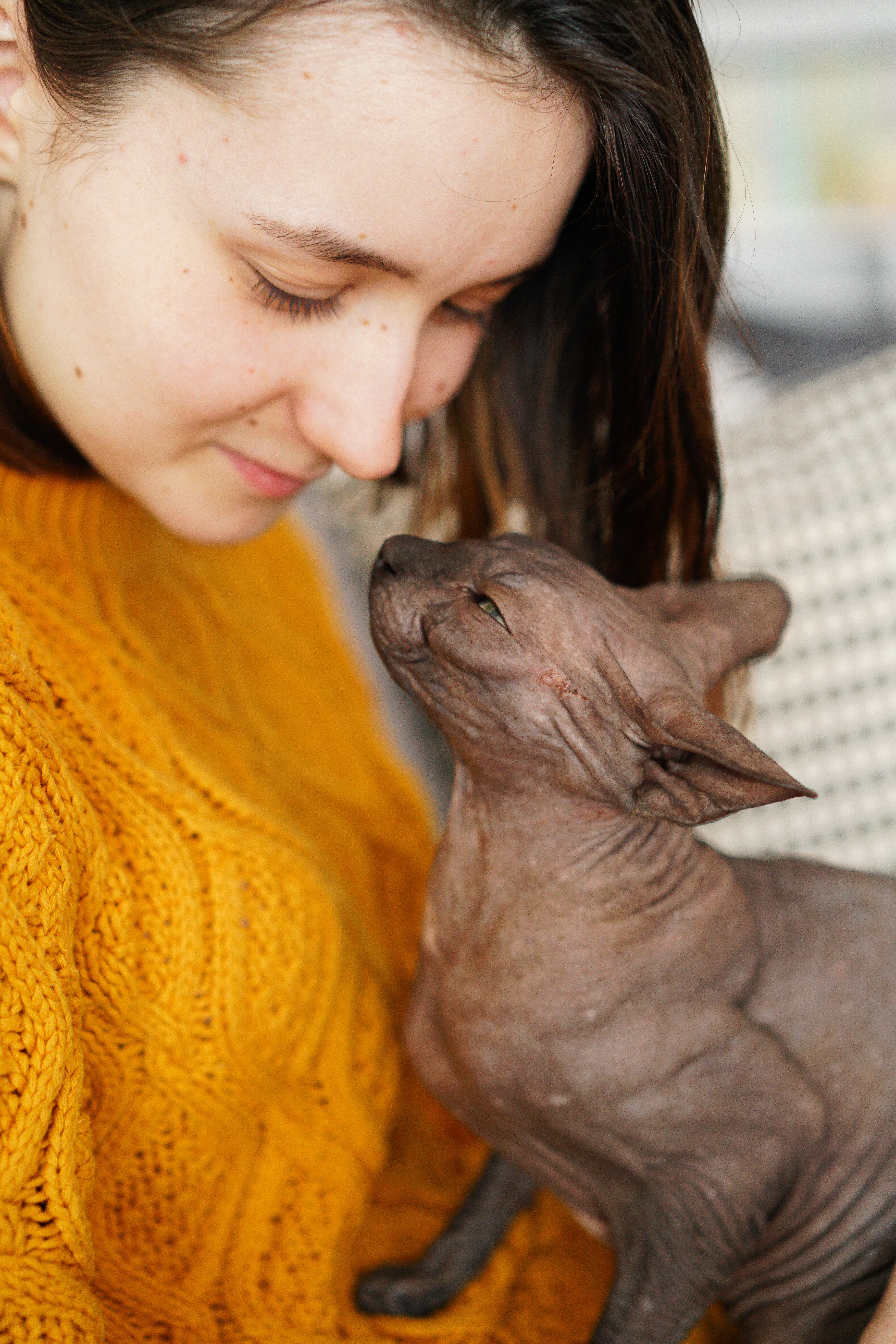 Cunoscut sub denumirea de „slow blink”, acesta este perceput de feline ca un semn de încredere și prietenie. Foto: pexels.com