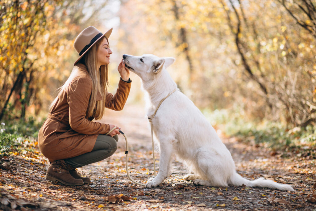 Câinii sunt printre puținele animale care caută în mod natural contactul vizual cu oamenii. Foto: Magnific.com