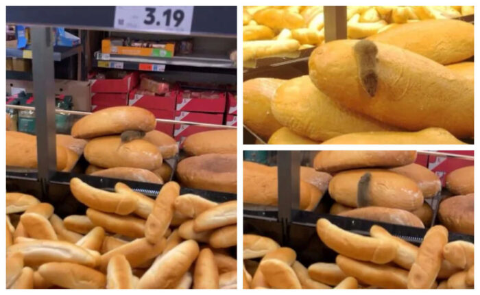 Imagini care au stârnit controverse într-un supermarket din Slovacia. Un șoarece a fost surprins pe raftul cu pâine