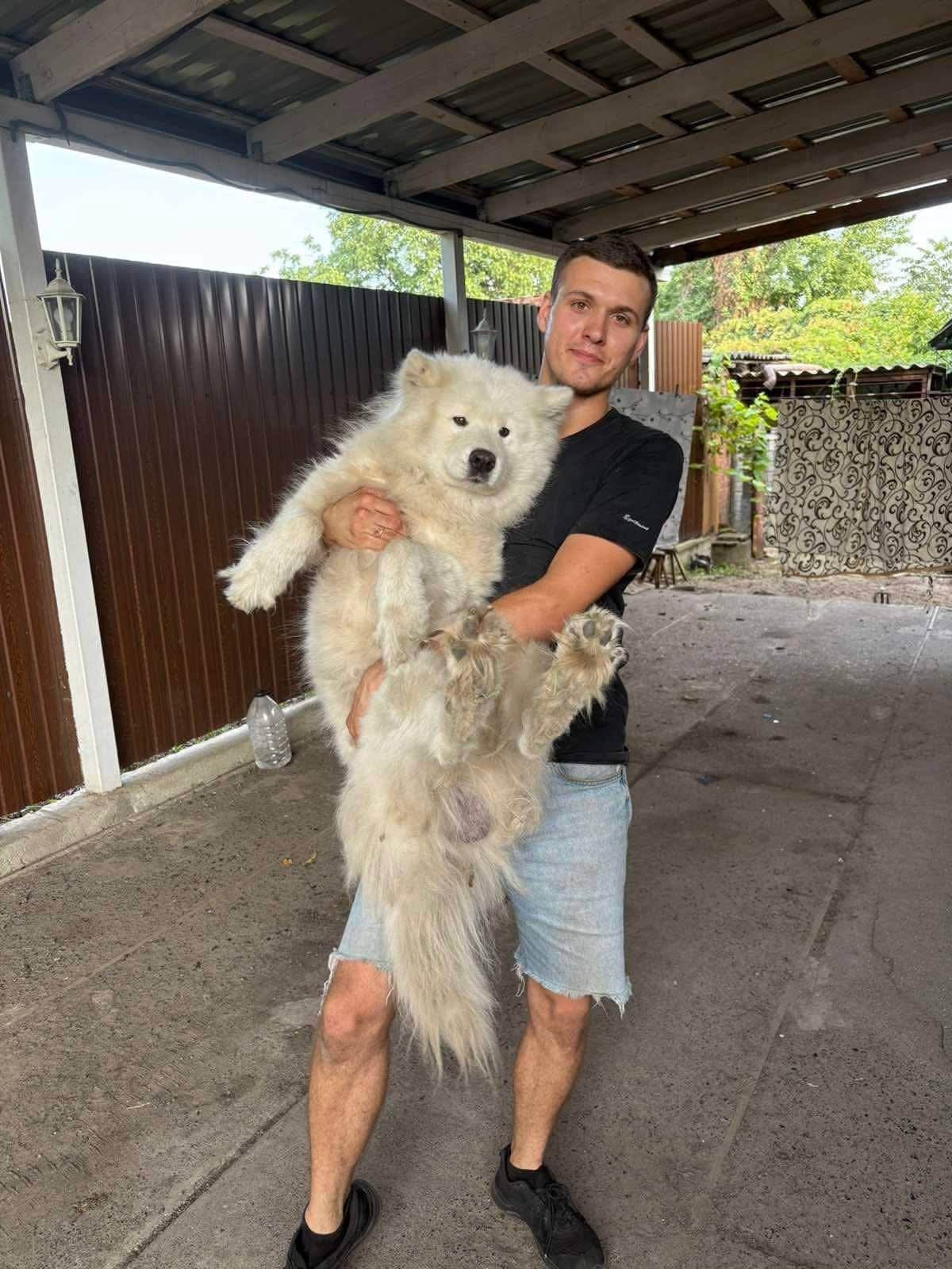 Nova Poshta a transmis un comunicat oficial în care a precizat că incidentul contravine valorilor companiei. Sursa foto: X.com