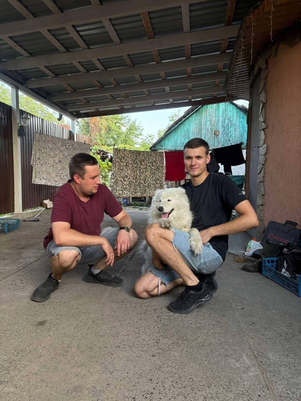 Organizațiile pentru protecția animalelor au condamnat comportamentul angajaților și au cerut măsuri ferme. Sursa foto: X.com