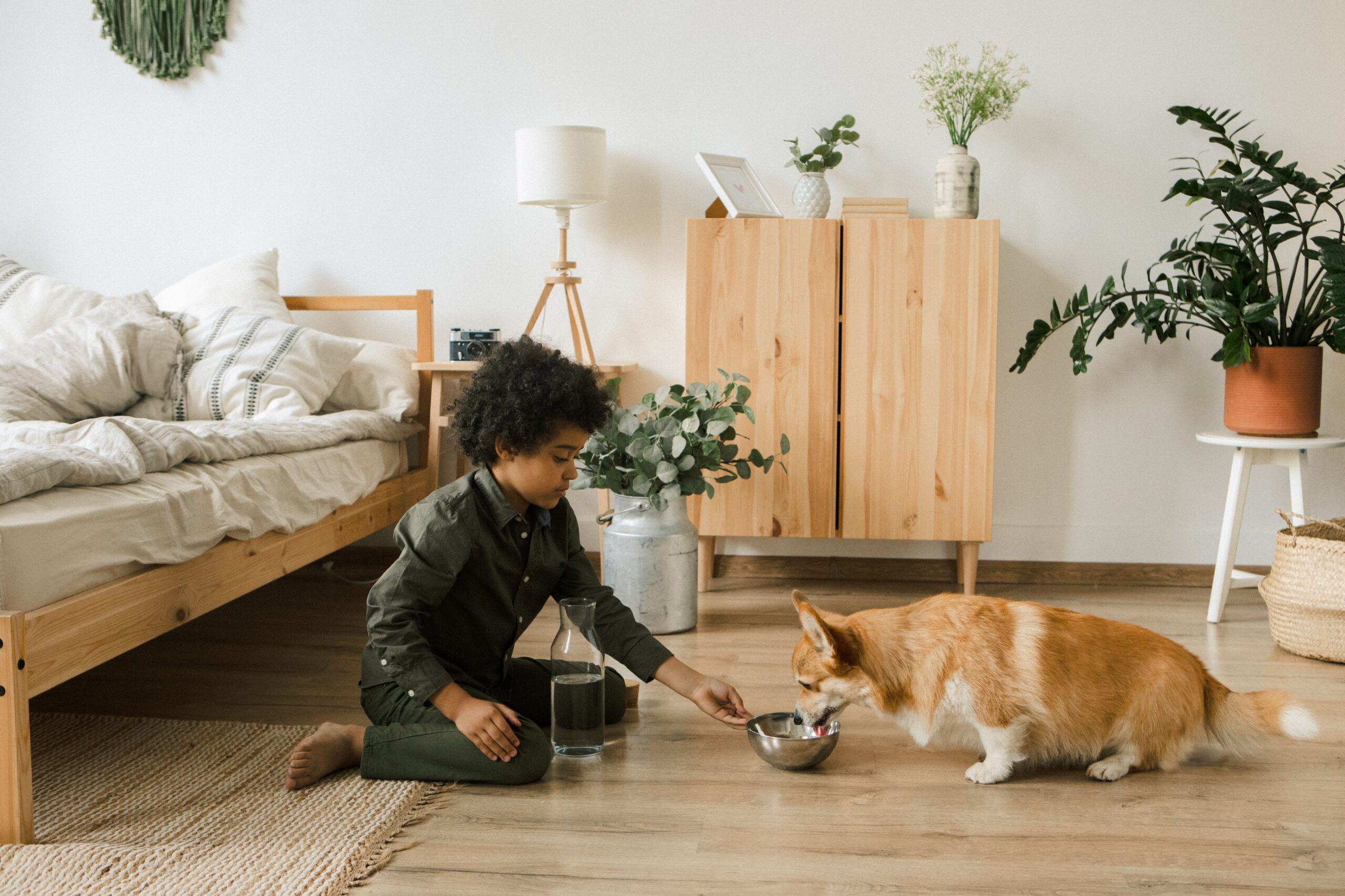 Nu este suficient să spunem că persoanele retrase social își înlocuiesc pur și simplu prietenii sau familia cu un animal. Foto: pexels.com