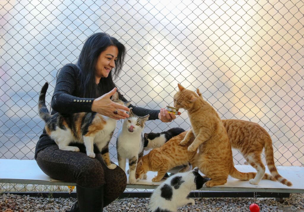 Animalele de companie pot alunga singurătatea, dar există și o capcană. Foto: pexels.com
