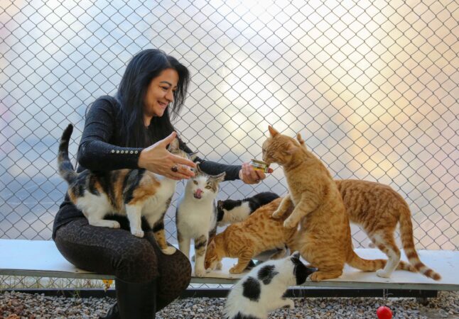 Animalele de companie pot alunga singurătatea, dar există și o capcană. Ce au descoperit cercetătorii