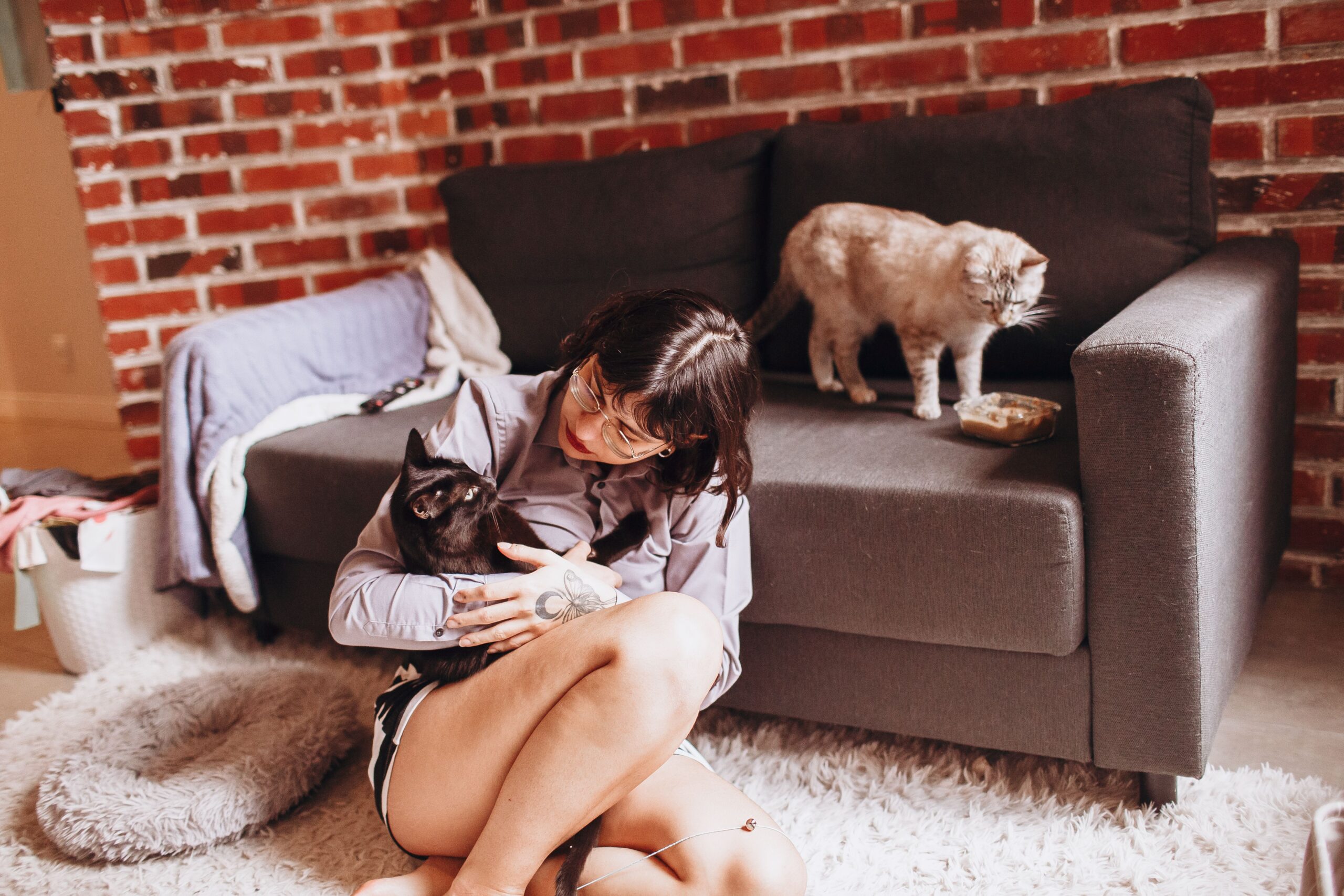 Lucrurile se pot schimba atunci când animalul ajunge să fie folosit în locul relațiilor cu alți oameni, nu alături de acestea. Foto: pexels.com
