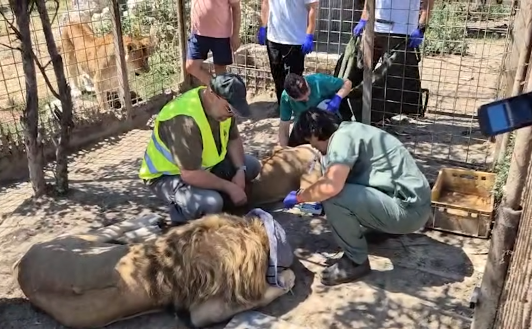 Amplasamentul funcționa fără autorizație de mediu și că măsurile dispuse anterior nu au fost respectate. Sursa foto: captură video YouTube Antena 3