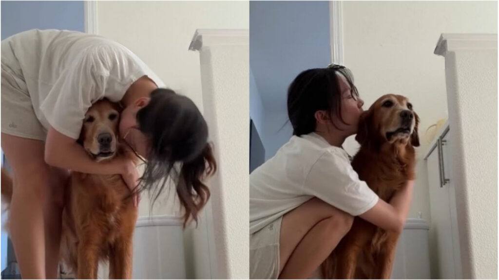 Cățelușa Golden Retriever a așteptat ca bebelușul să adoarmă, apoi și-a cerut porția de răsfăț de la stăpână. Foto: captură video Instagram