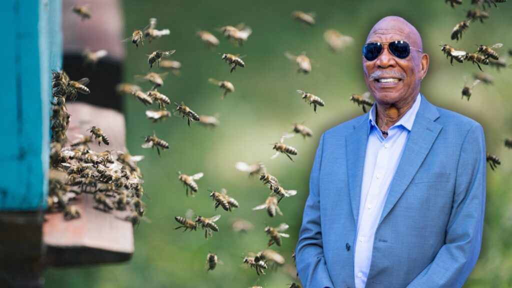 Morgan Freeman și-a transformat ferma într-un refugiu pentru albine, dar nu le colectează mierea. Care este motivul