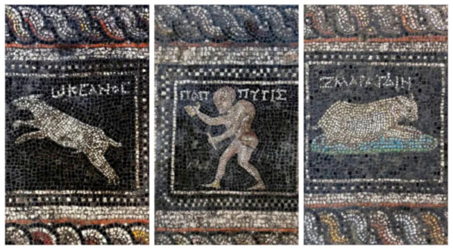 Mozaic roman spectaculos descoperit în Turcia. O pisică și un câine au fost „imortalizați” în urmă cu aproape 1.800 de ani