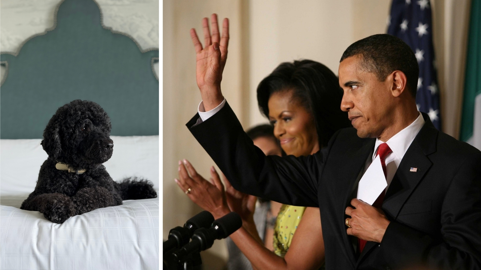 Sunny, câinele iubit al familiei Obama, a murit. Sursa foto: X / Profimedia