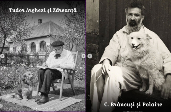 Câinii unor români celebri. De la Zdreanță al lui Arghezi la Polaire, companionul lui Brâncuși