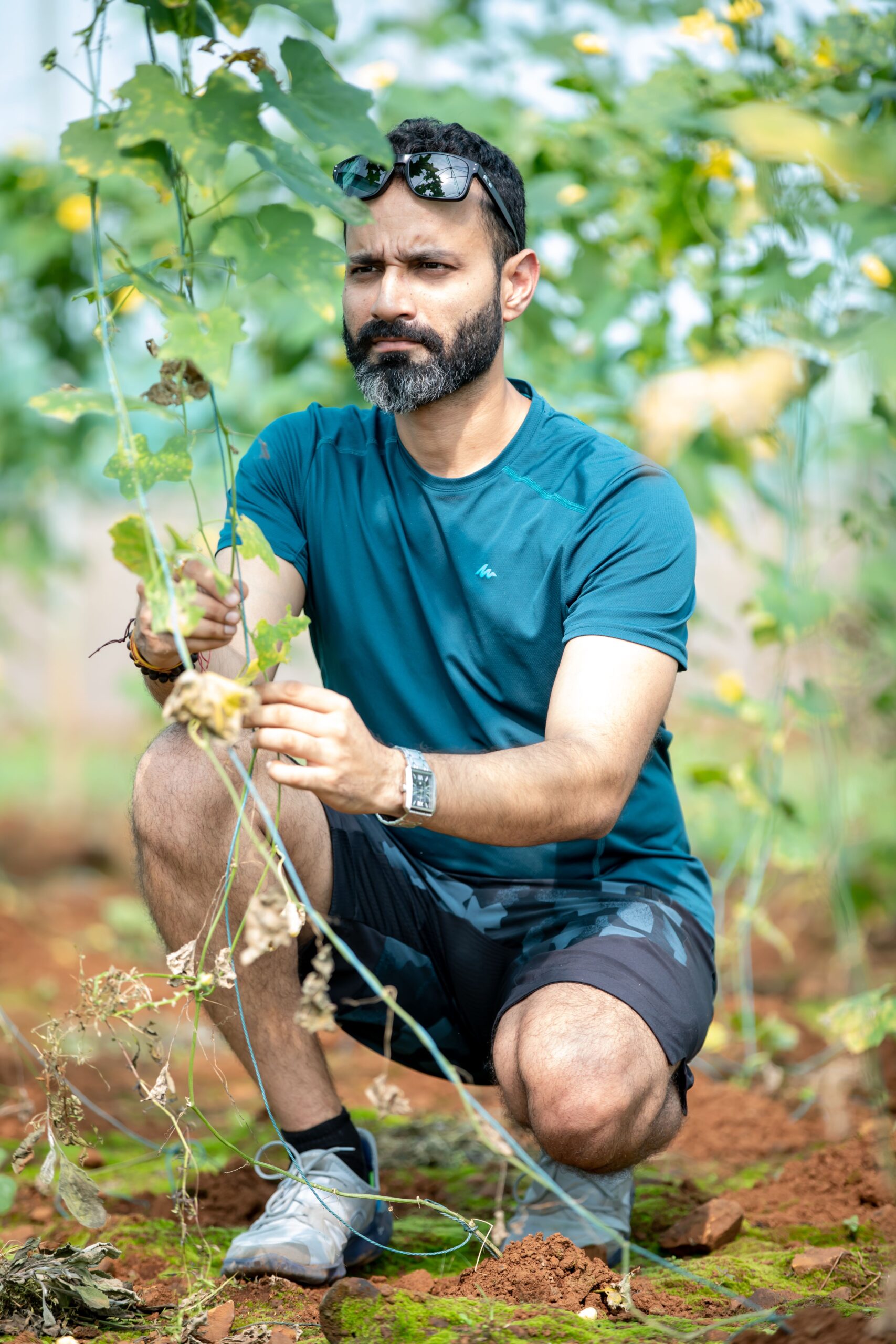 India ocupă locul al doilea în lume în ceea ce privește suprafața destinată agriculturii ecologice. Foto: pexels.com