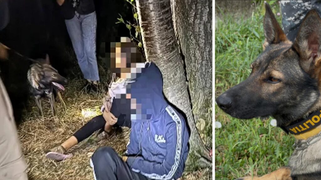 Doi copii de 13 ani, găsiți într-o pădure cu ajutorul unui câine de urmă. Foto: captură video Facebook IPJ Vâlcea