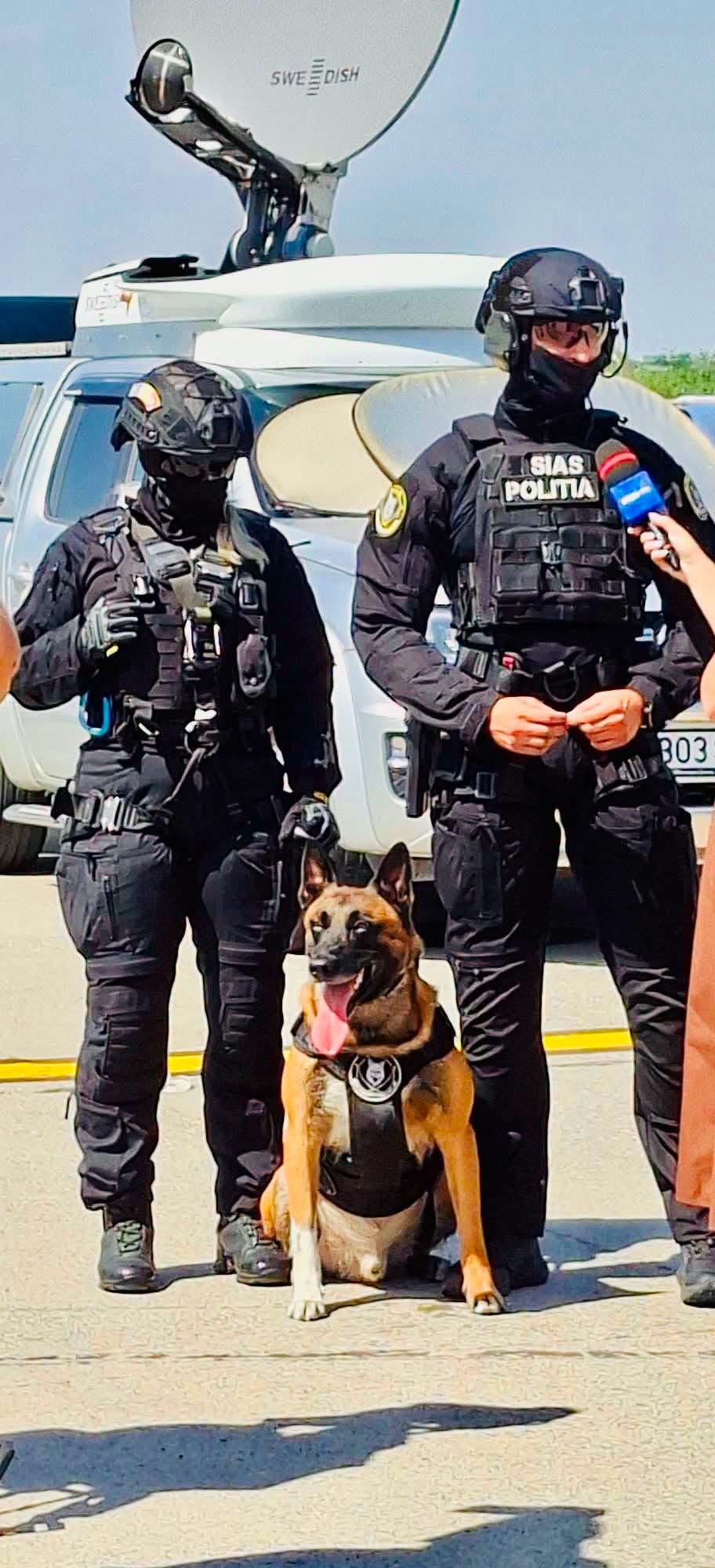 Sox este câine de serviciu al MAI și formează o echipă cu Andreea, conductorul său. Sursa foto: Facebook Centrul Chinologic „Dr. Aurel Greblea” din Sibiu