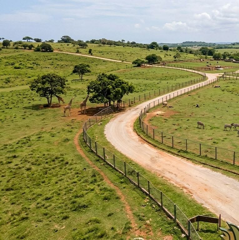 În unele zile, hrana nu ajunge pentru toată lumea. Sursa foto: Facebook Parque Zoológico Nacional de Cuba