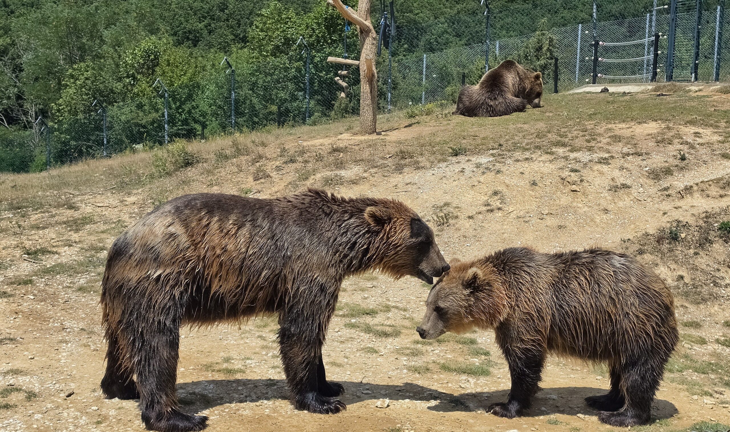 Cum funcționează intervenția prevăzută de OUG 812021. Foto: pexels.com