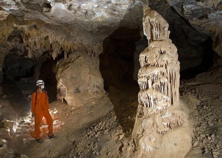 Fragmente de stalagmite descoperite în peșteri din sudul Marocului oferă noi dovezi că această regiune a fost mult mai umedă în urmă cu mii de ani. Foto: Ben Lovett