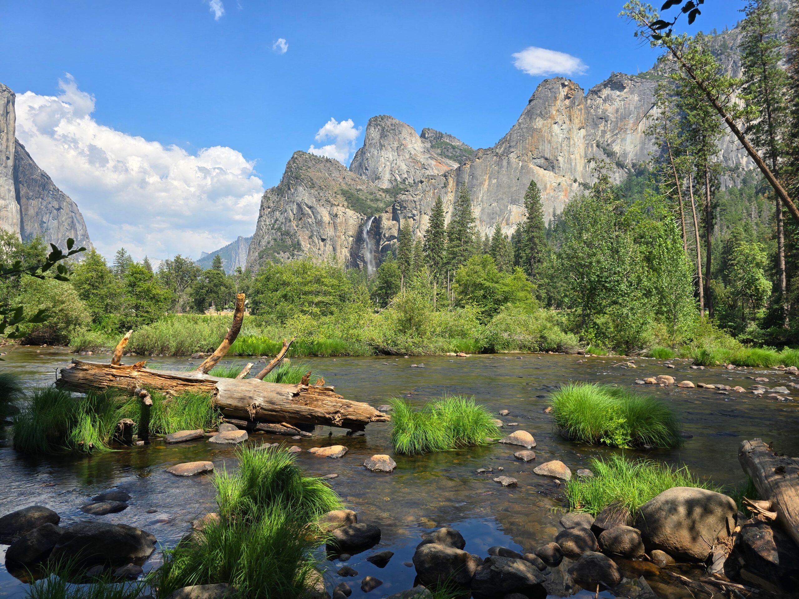 În 2003, Nature Conservancy a finalizat achiziția fostei proprietăți Cagney pentru 2,7 milioane de dolari. Foto: pexels.com