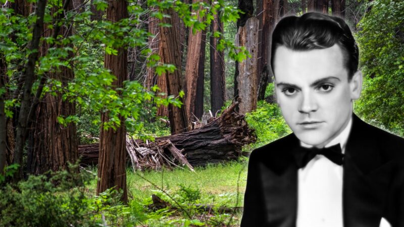 Terenul cumpărat de James Cagney în anii ’40 a ajuns să protejeze specii rare: animale și plante s-au refugiat aici de construcțiile omului