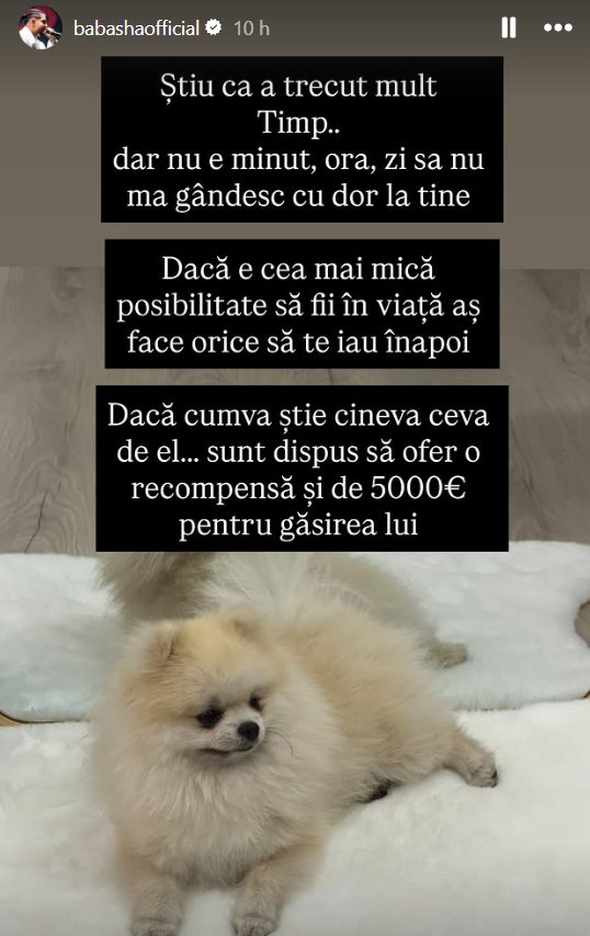 Pentru a-l găsi pe Hank, cântărețul este dispus să ofere o recompensă de 5.000 de euro. Foto: Facebook