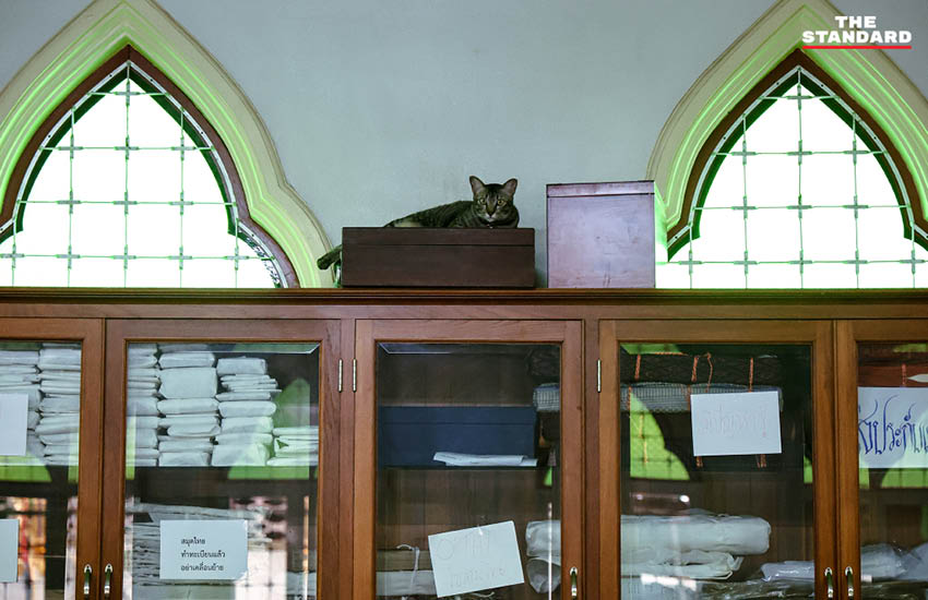 Povestea acestui loc este despre compasiune, responsabilitate și efortul unei comunități mici de a le oferi animalelor o viață mai bună. Foto: The Standard