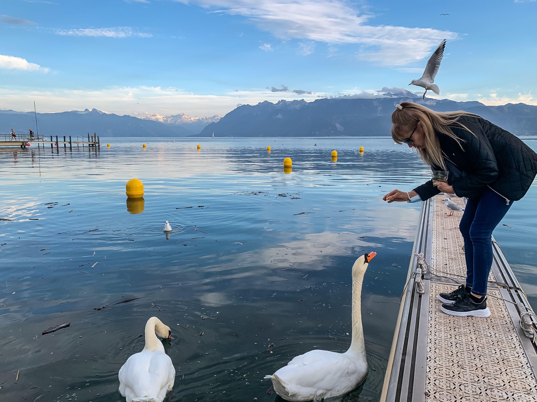 De ce animalele sălbatice pot ajunge, de fapt, mai vulnerabile atunci când primesc mâncare de la oameni. Sursa foto: Daniel Bueno / Alamy / Profimedia