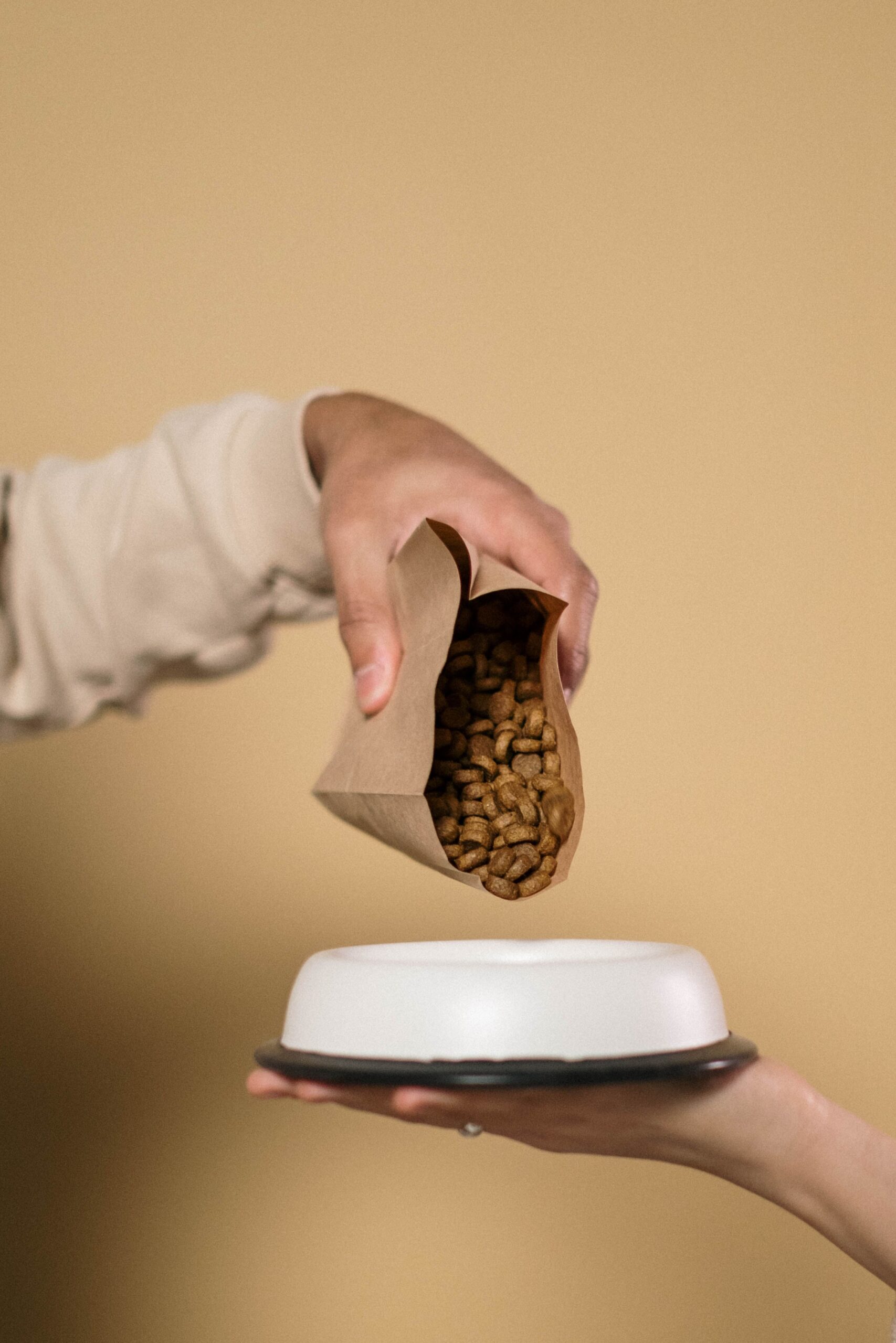 Tot mai multe companii consideră acum că investițiile directe în refacerea solului sunt esențiale pentru viitorul producției alimentare. Foto: pexels.com