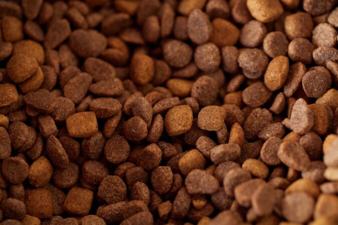 De ce sănătatea solului devine o prioritate în producția de hrană pentru animale de companie. Cum poate agricultura regenerativă să protejeze ingredientele