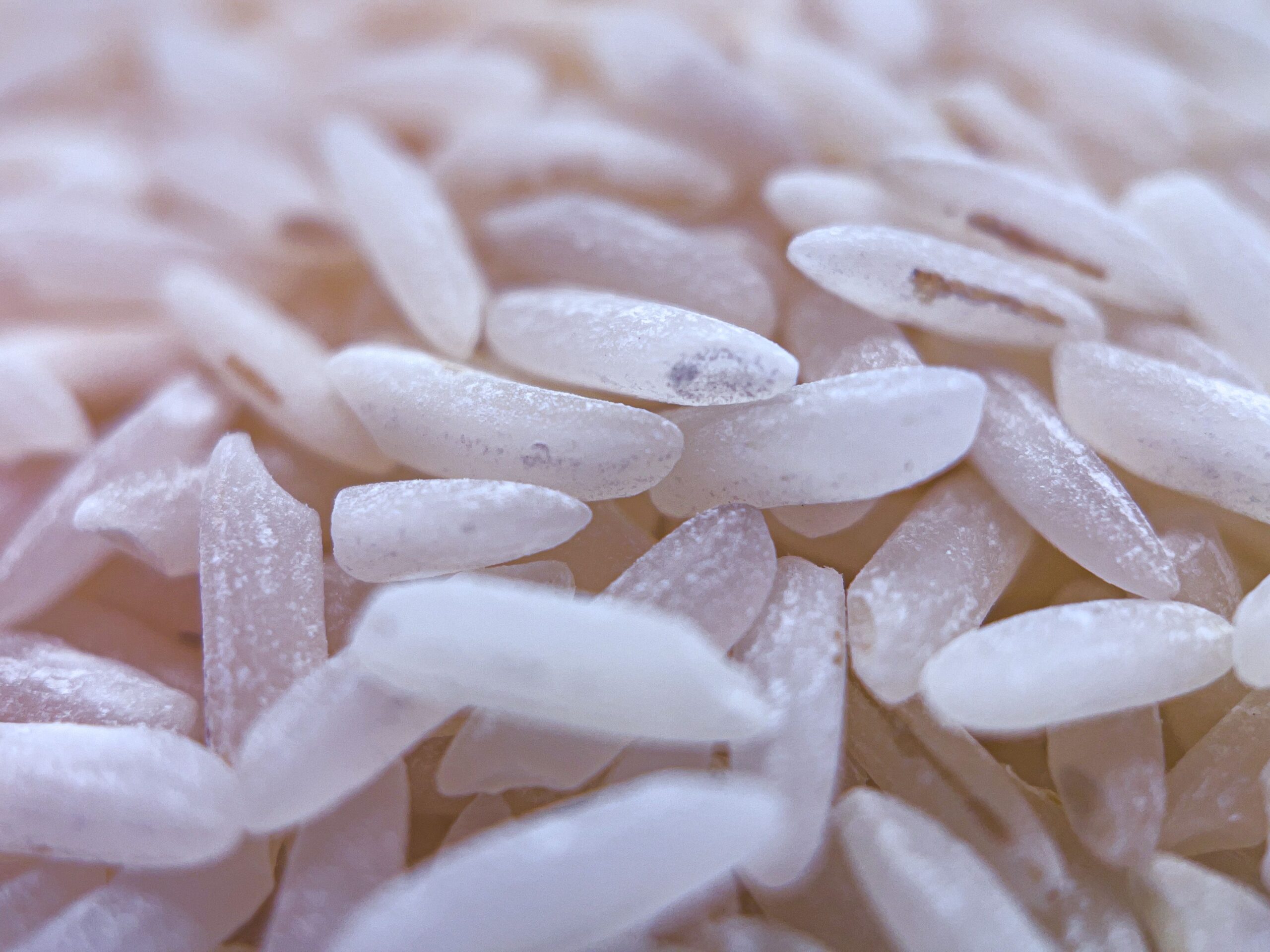 Ciuperca atacă plantele printr-un mecanism biologic complex. Foto: pexels.com