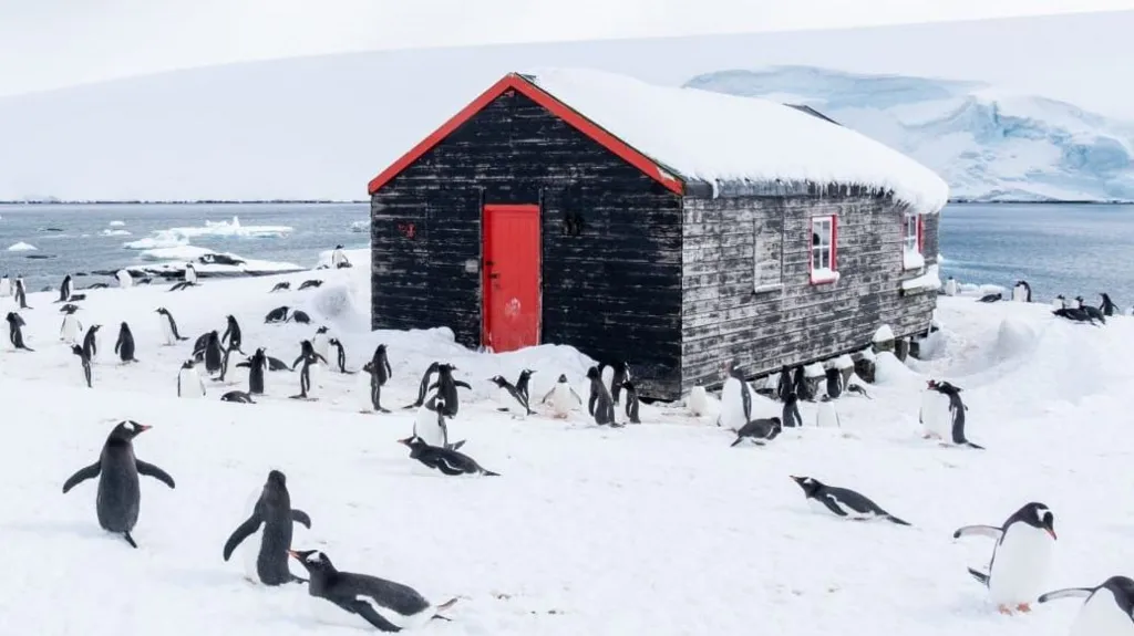 Port Lockroy a funcționat ca punct britanic de cercetare până în 1962, când activitatea științifică a fost mutată în baze mai mari și mai moderne. Foto: UK Antarctic Heritage Trust